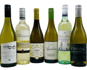 Simple Sauvignon case