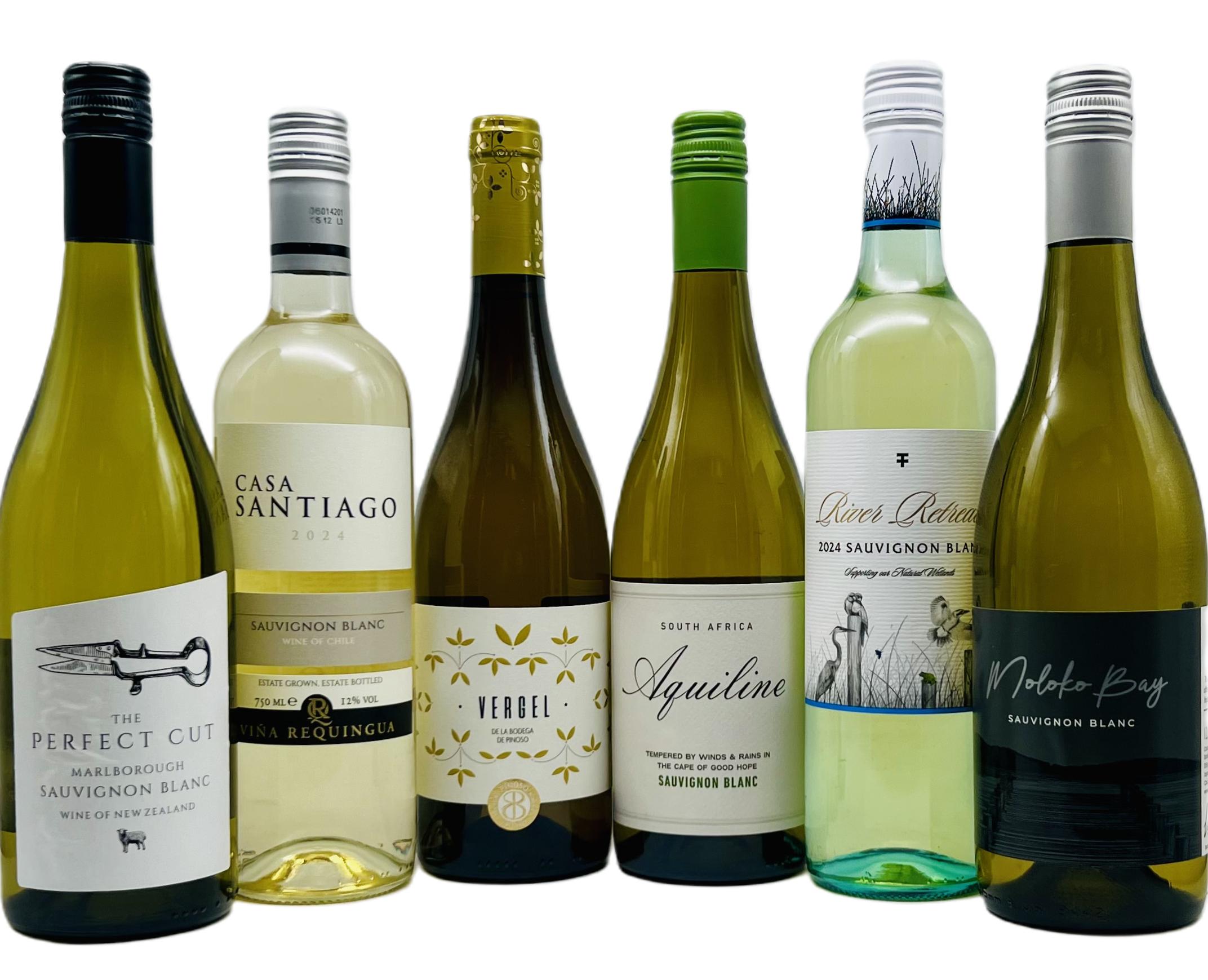 Simple Sauvignon case