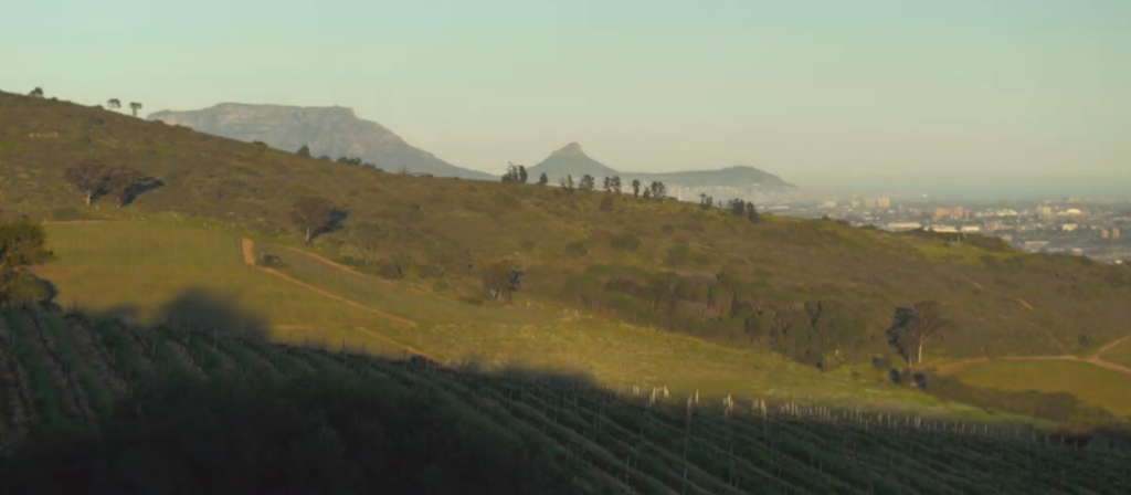 Wines of South Africa