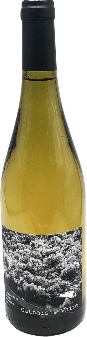 CATHARSIS MACABEO VERMENTINO EDINBURGH SCOTLAND