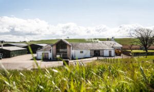 lochlea distillery edinburgh fringe whisky tasting