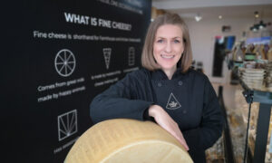 Wine and Cheese Pairing Tutored Tasting